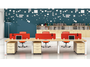 FengFan�h�� FengFan