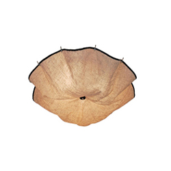 FLOS Celestia Ceiling Lamp ����㲼ˇ��픟�