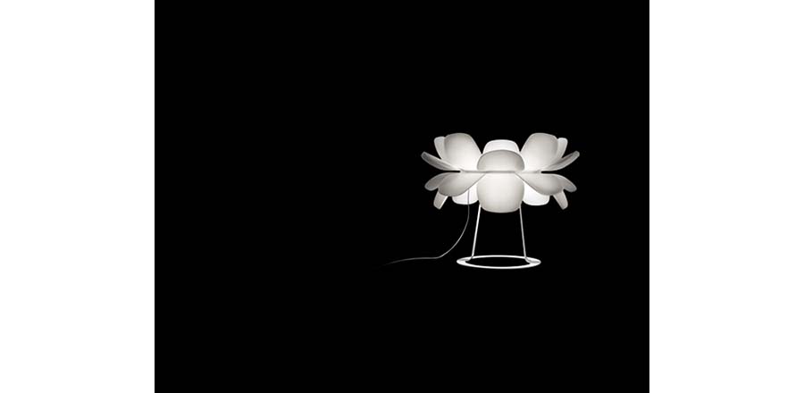 �F��������|�_��|�k���Ҿ�|Infiore�F���������_�� CGT1111