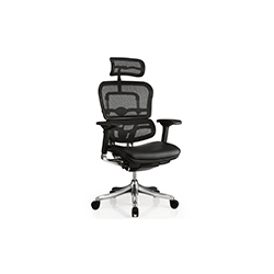Erghuman office chair CG-���-1003-1