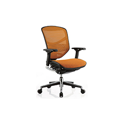 ENJOY office chair CG-��׿-1005-9