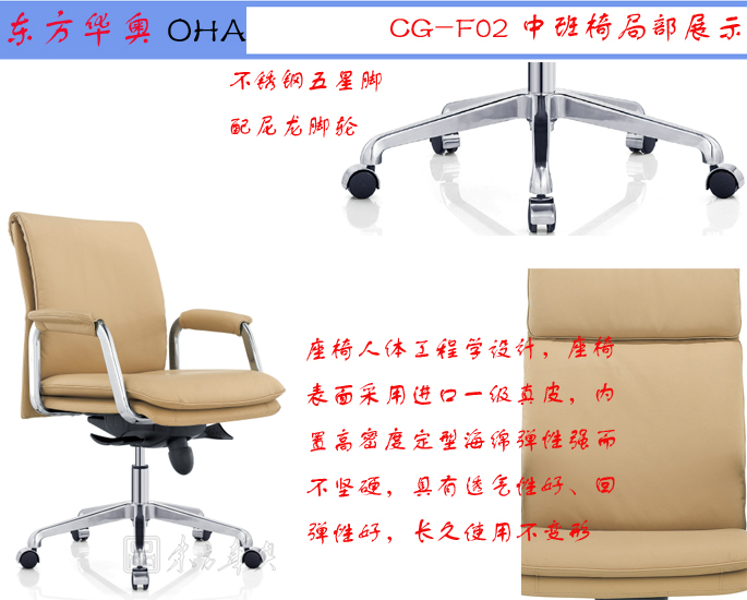 �k����|�F����Ƥ�а���|�k���Ҿ�|��Ƥ�а���|�k���Σ��T��