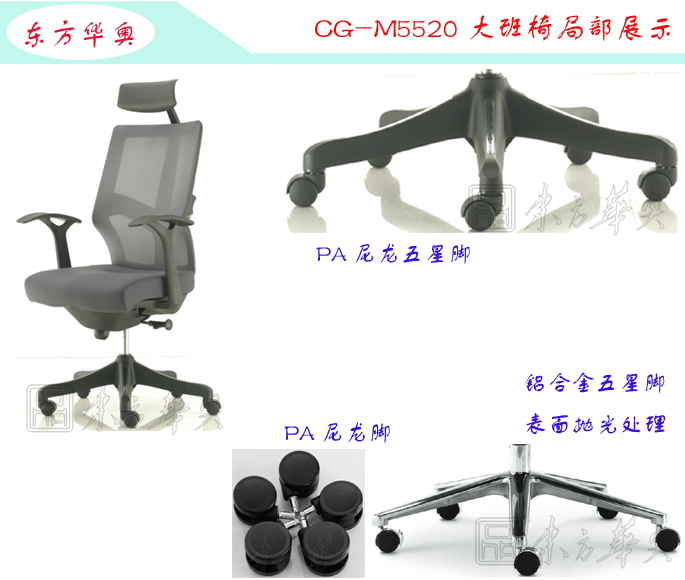 ���x�����_