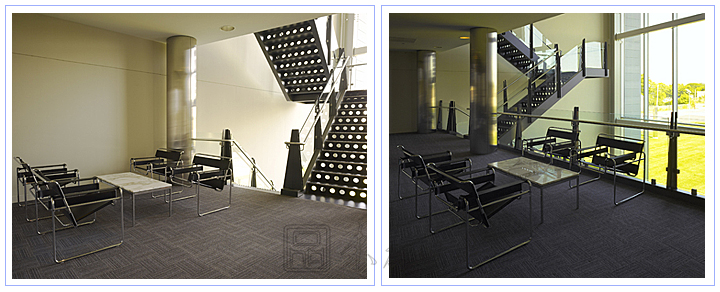 現代經典休閑椅|真皮休閑椅|辦公家具|瓦西里皮條休閑椅|休閑椅|真皮休閑椅|設計椅