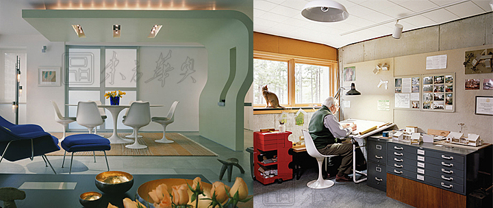 現(xiàn)代經(jīng)典休閑椅|塑料休閑椅|辦公家具|郁金香椅|玻璃鋼椅,無扶手郁金香椅,餐椅,休閑椅